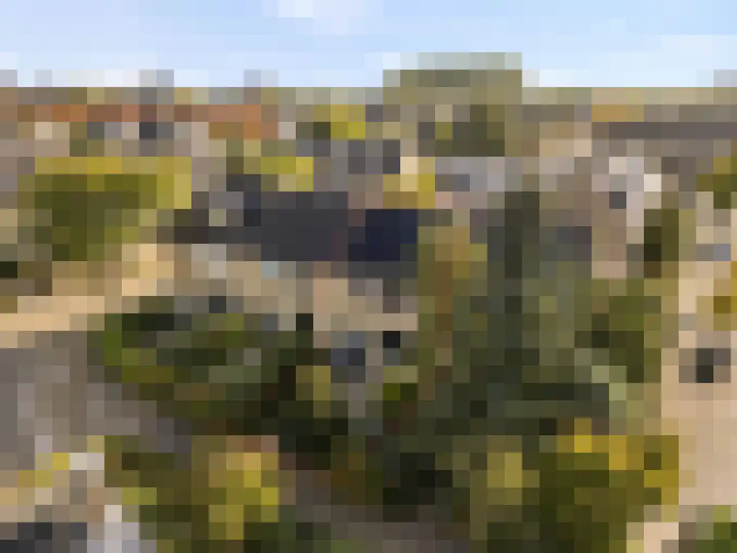 Klompenmakerij 13 Barendrecht thumbnail 29