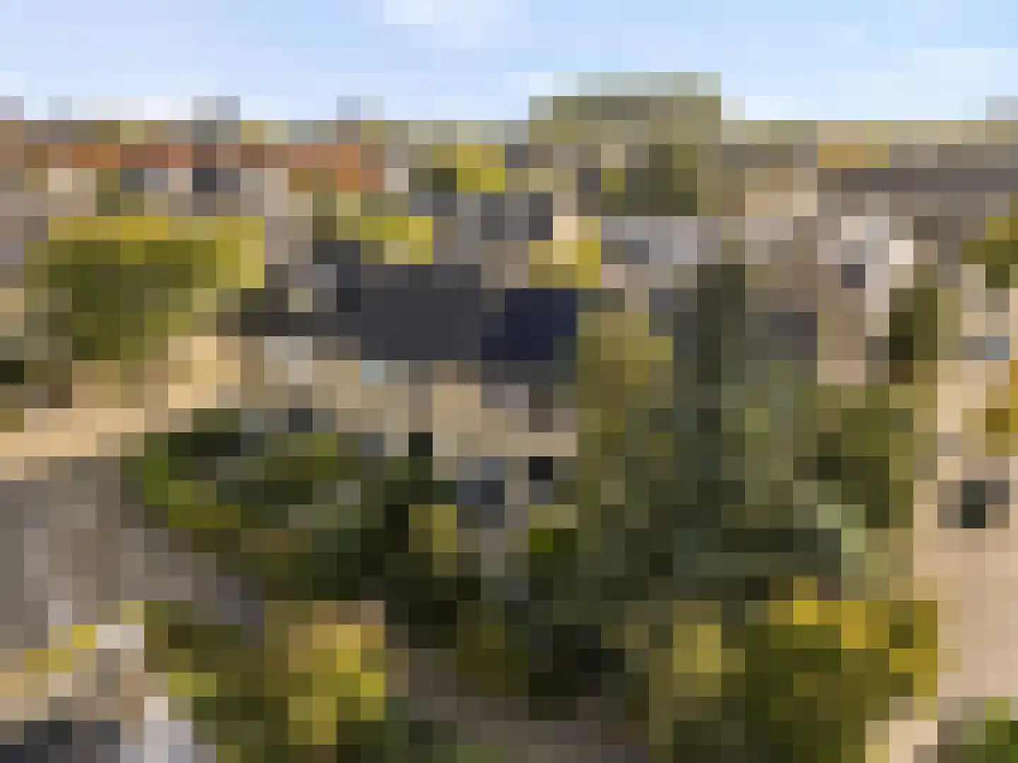 Klompenmakerij 13 Barendrecht thumbnail 8