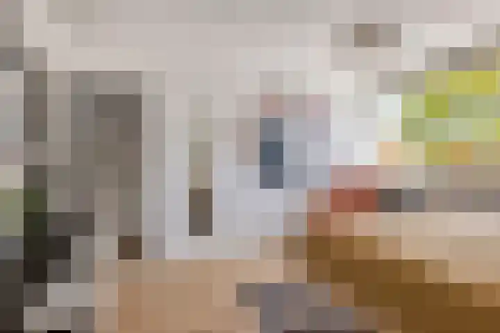 Klompenmakerij 3 Barendrecht thumbnail 15