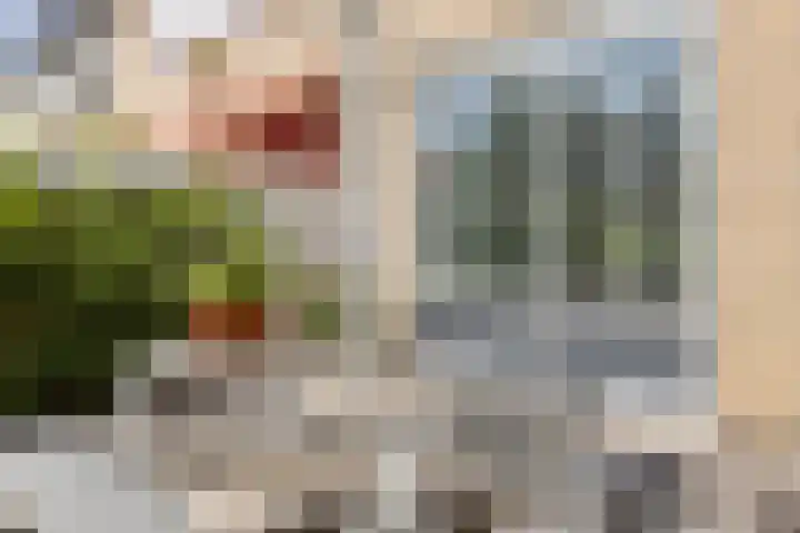 Klompenmakerij 3 Barendrecht thumbnail 25