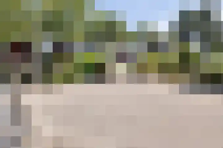 Klompenmakerij 3 Barendrecht thumbnail 27