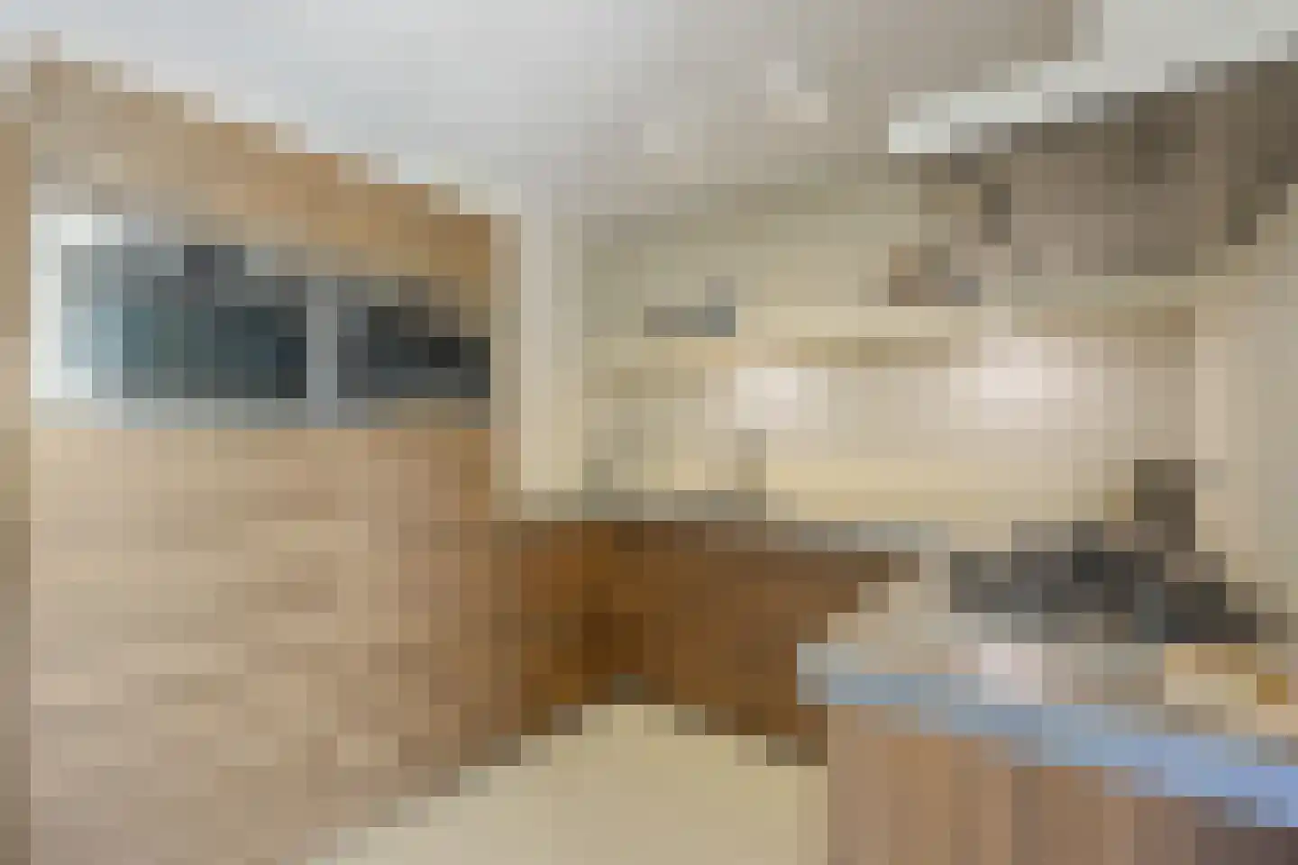 Klompenmakerslaan 31 Voorthuizen thumbnail 16