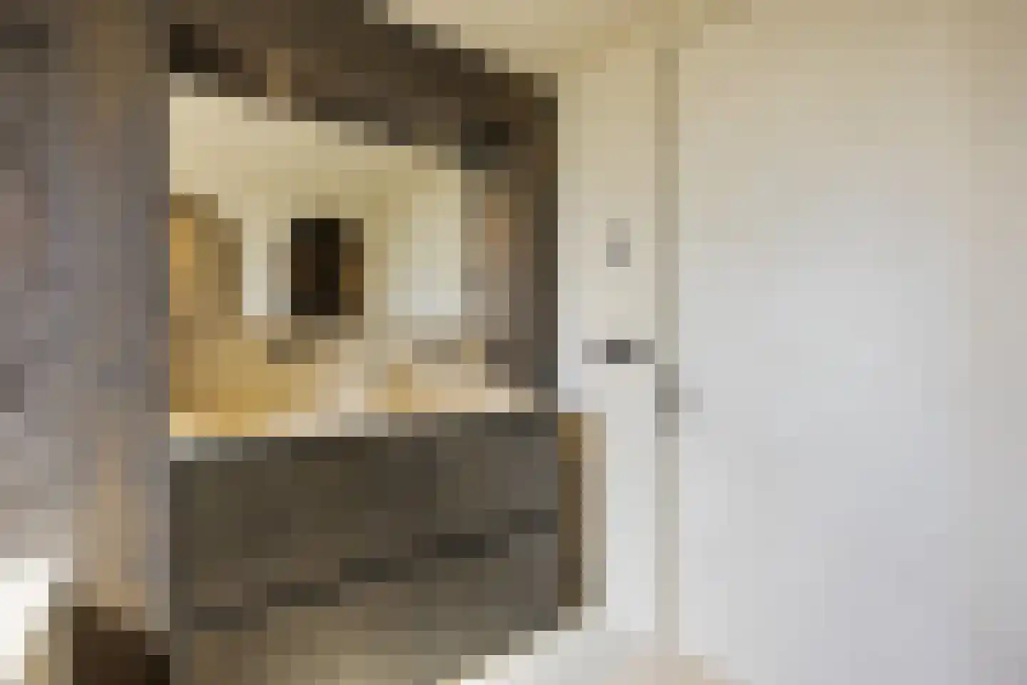 Klompenmakerslaan 31 Voorthuizen thumbnail 32