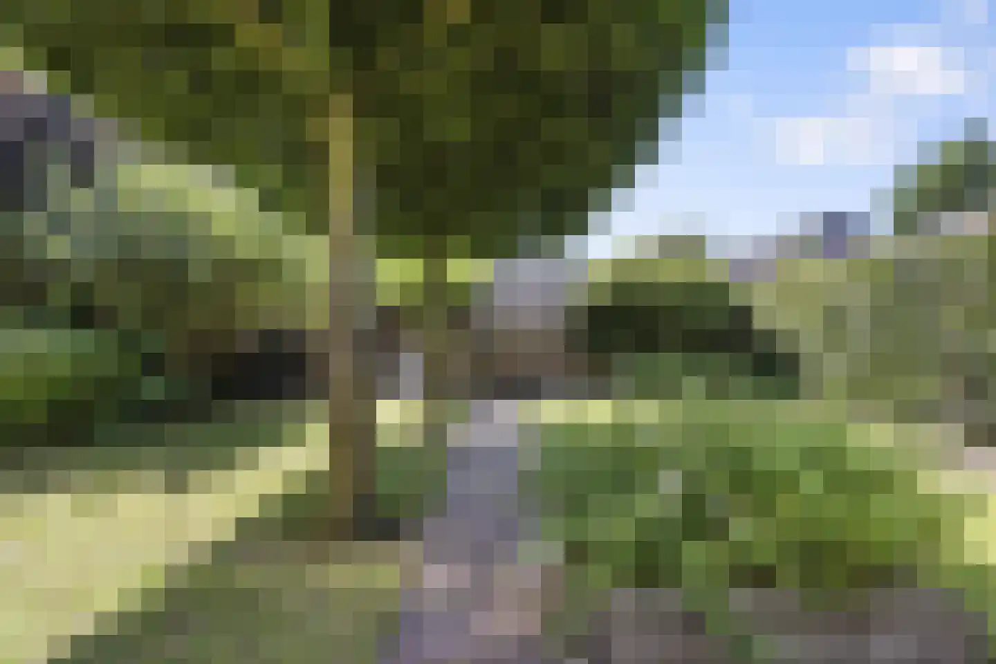 Klompenmakerslaan 31 Voorthuizen thumbnail 36