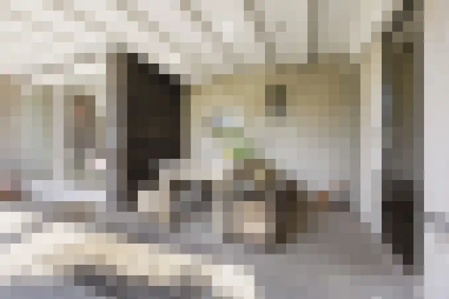 Klompenmakerslaan 31 Voorthuizen thumbnail 39