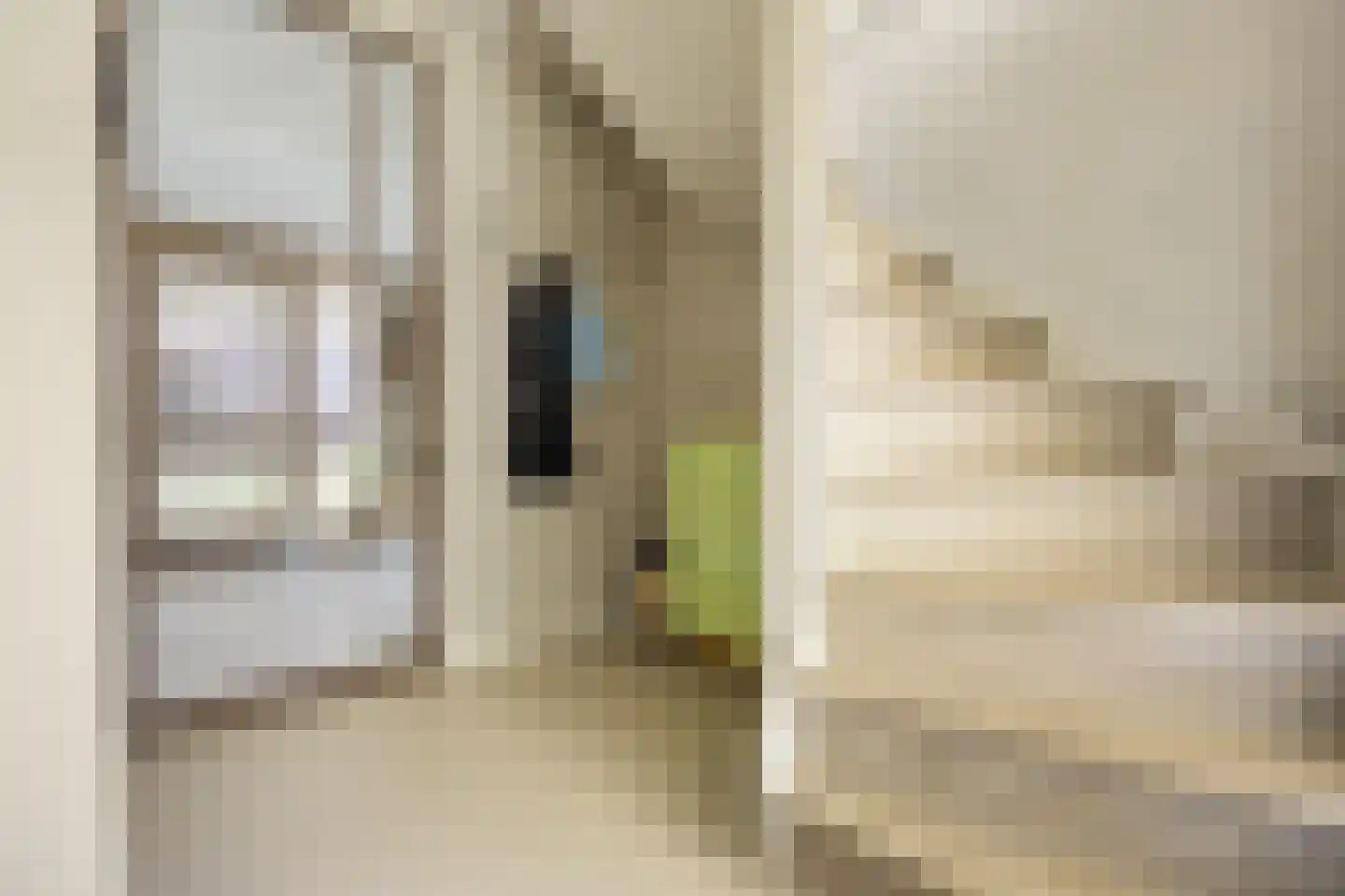 Klompenmakerslaan 31 Voorthuizen thumbnail 5