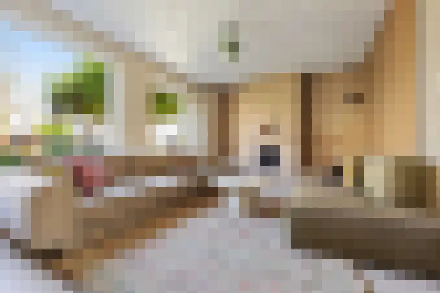 Klompenmakerslaan 31 Voorthuizen thumbnail 9