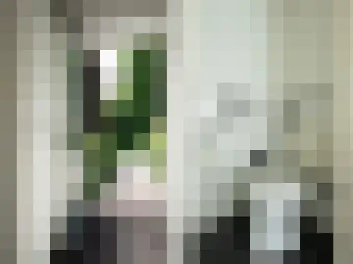 Klompenmakerslaan 32 Voorthuizen thumbnail 10