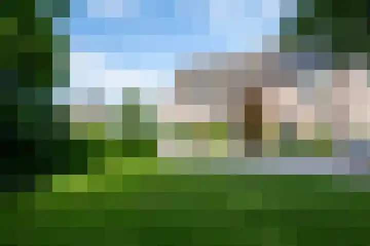 Klompenmakerslaan 32 Voorthuizen thumbnail 23