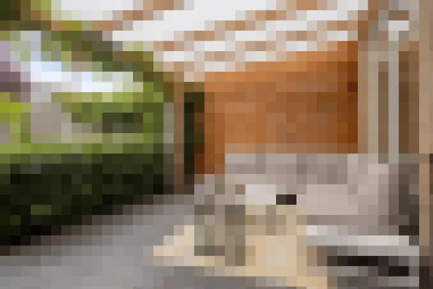 Klompenmakerstraat 18 Breda thumbnail 26