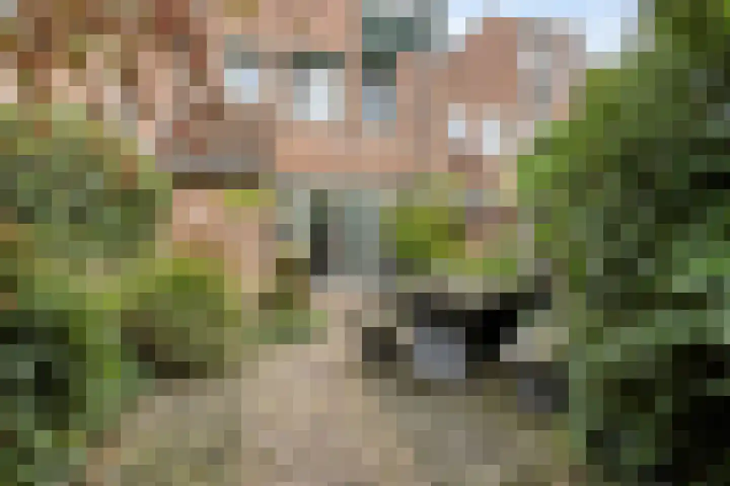 Klompenmakerstraat 26 Horst thumbnail 27