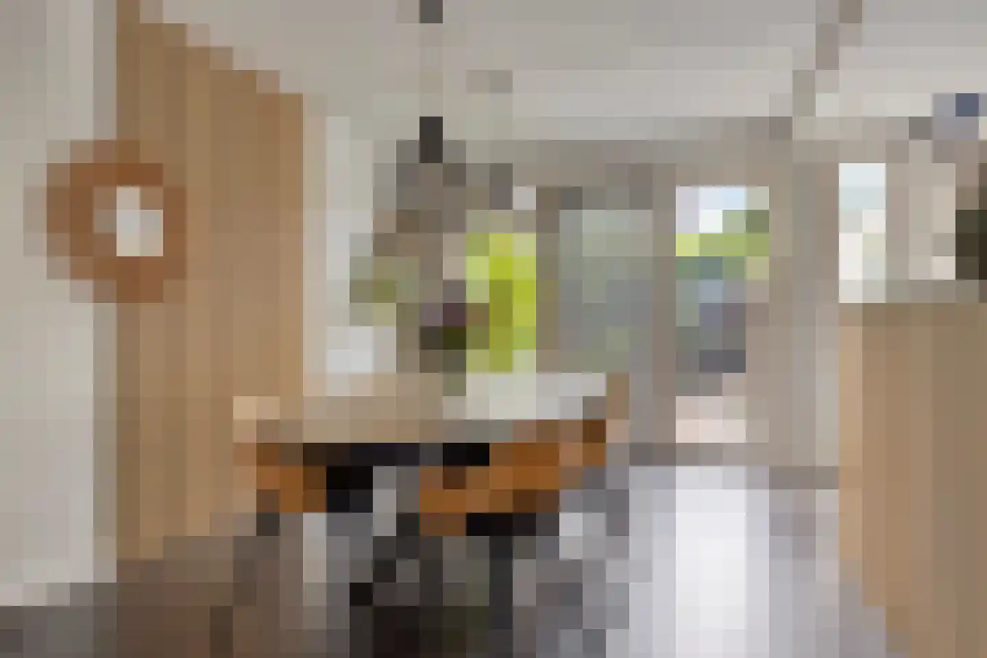 Klompenmakerstraat 26 Horst thumbnail 8