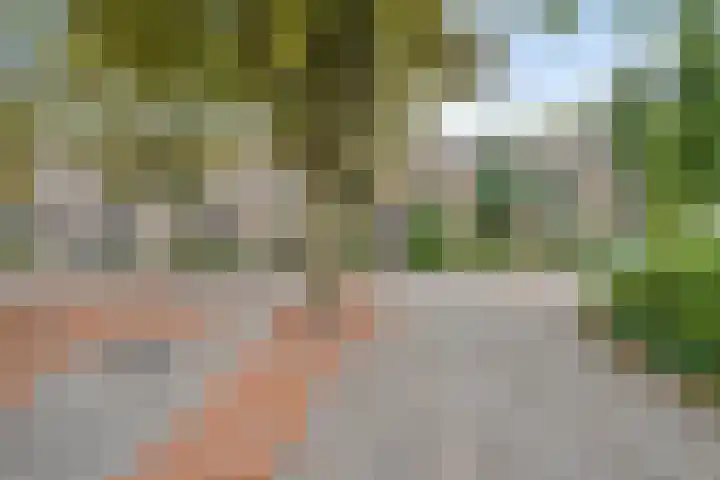Klompenmakerstraat 6 Breda thumbnail 38