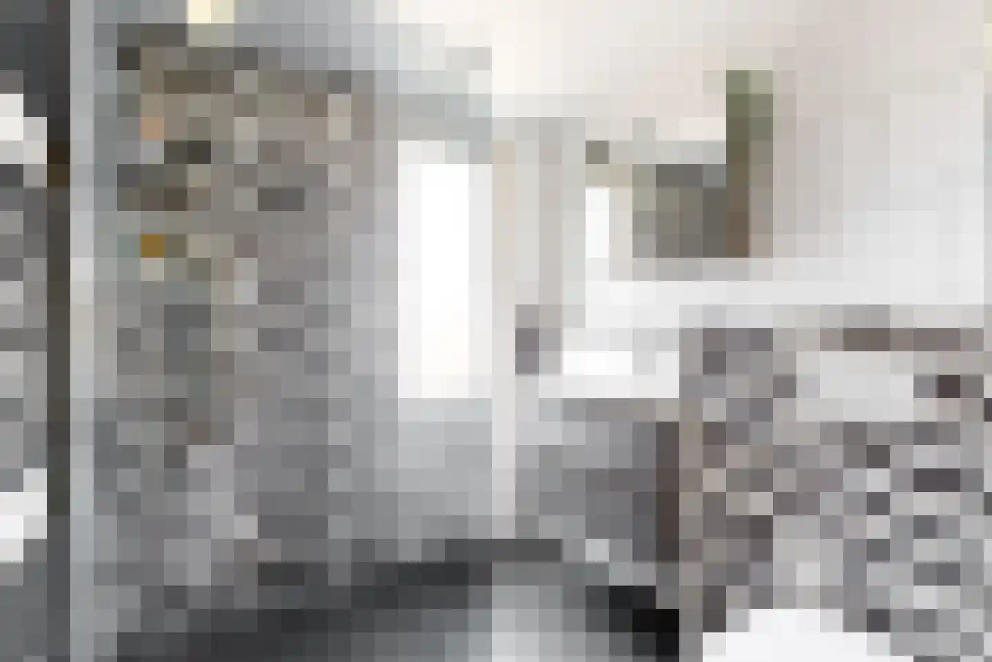 Klompenmakerstraat 76 Purmerend thumbnail 17