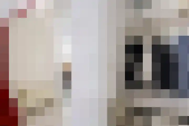 Klompenmakersveld 7 Wehl thumbnail 12