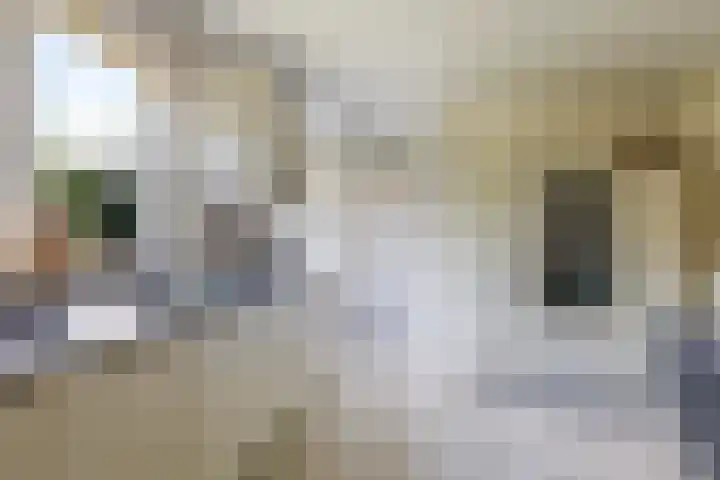 Klompenmakersveld 7 Wehl thumbnail 26