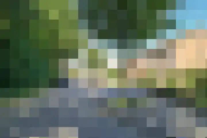 Klompenmakersveld 7 Wehl thumbnail 4