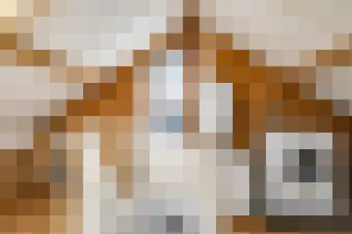Klompenmakersveld 7 Wehl thumbnail 44