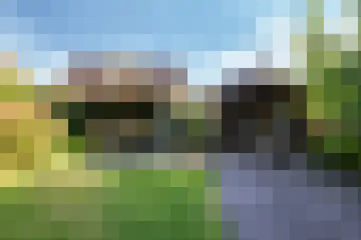 Klompenmakersveld 7 Wehl thumbnail 49
