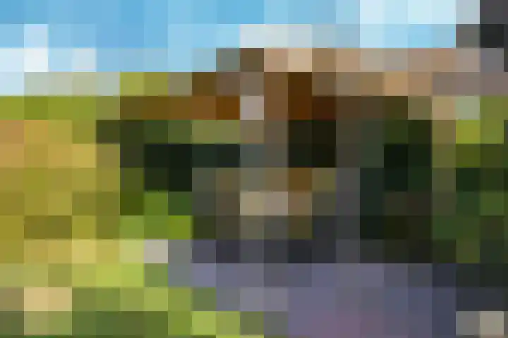 Klompenmakersveld 7 Wehl thumbnail 51