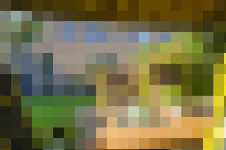Klompenmakersveld 7 Wehl thumbnail 54