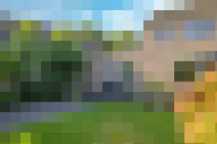 Klompenmakersveld 7 Wehl thumbnail 56