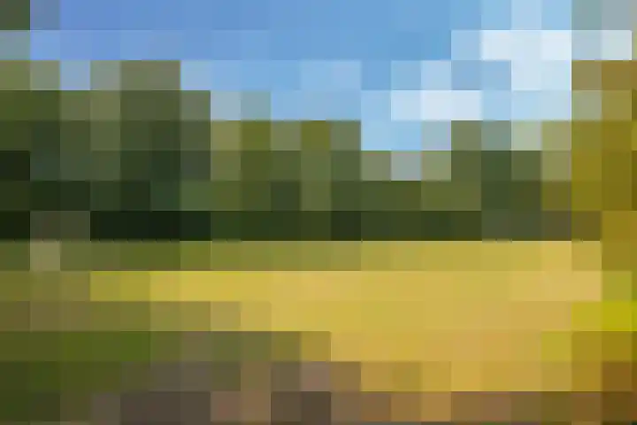 Klompenmakersveld 7 Wehl thumbnail 61