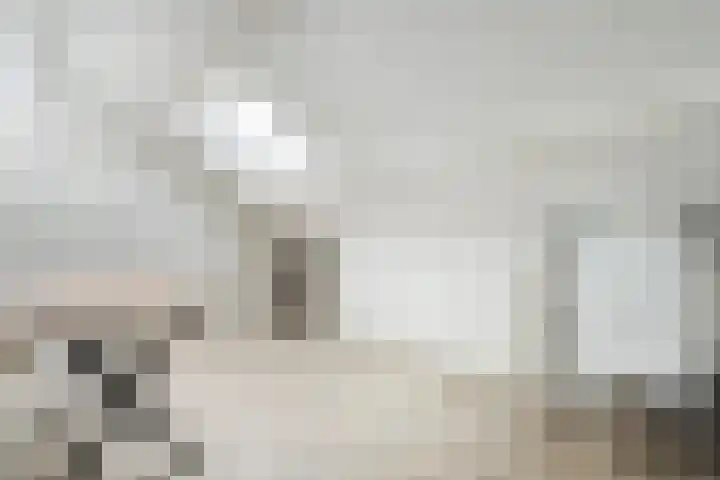 Klompenmakersweg 46 Wezep thumbnail 34