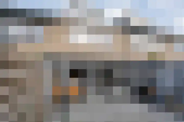 Klompenmakersweg 46 Wezep thumbnail 36