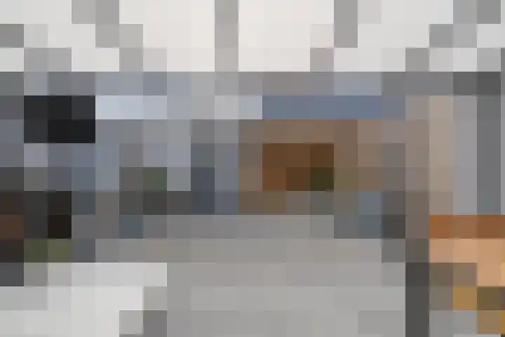 Klompenmakersweg 46 Wezep thumbnail 43