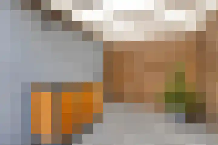 Klompenmakersweg 46 Wezep thumbnail 48