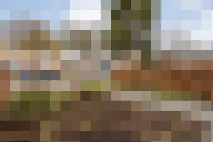 Klompenmakersweg 46 Wezep thumbnail 56
