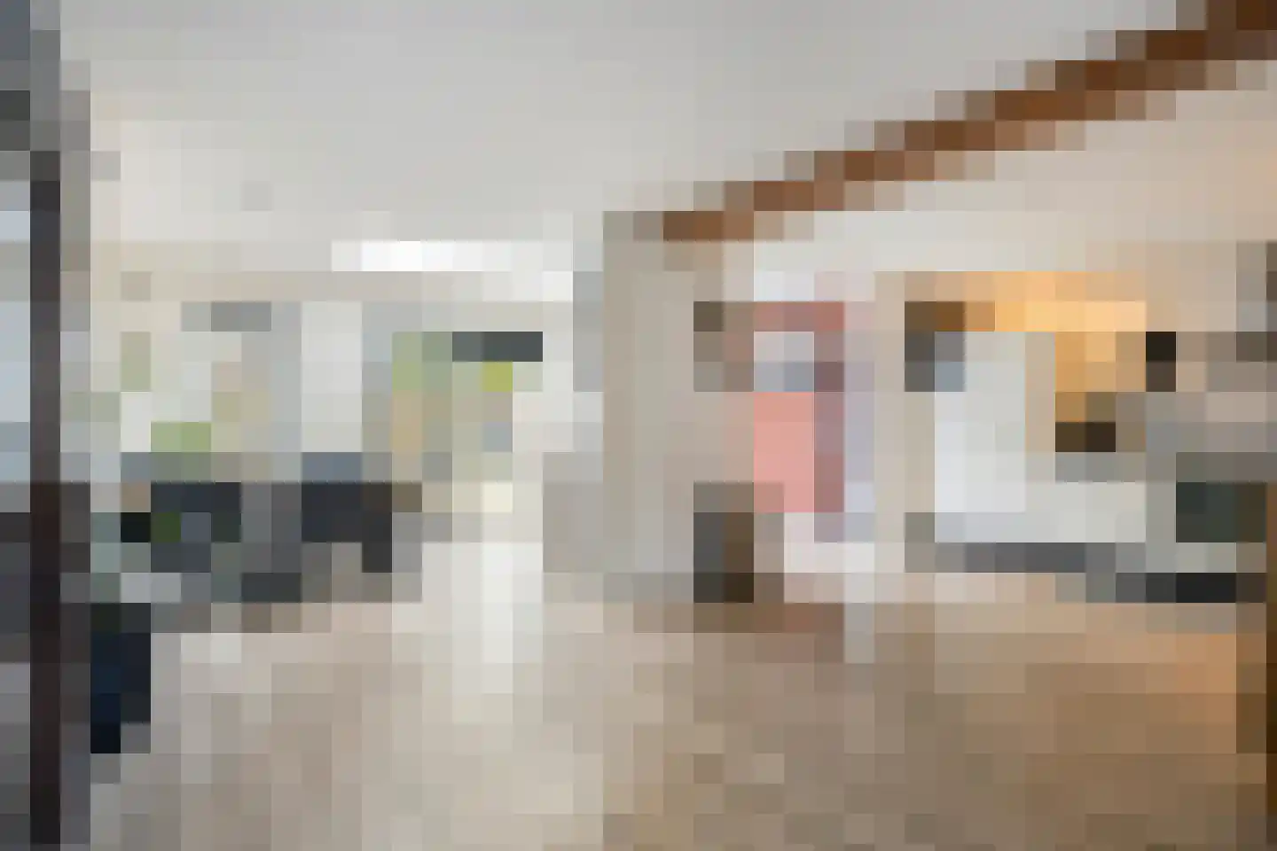 Klompenstraat 10 A Eckelrade thumbnail 12