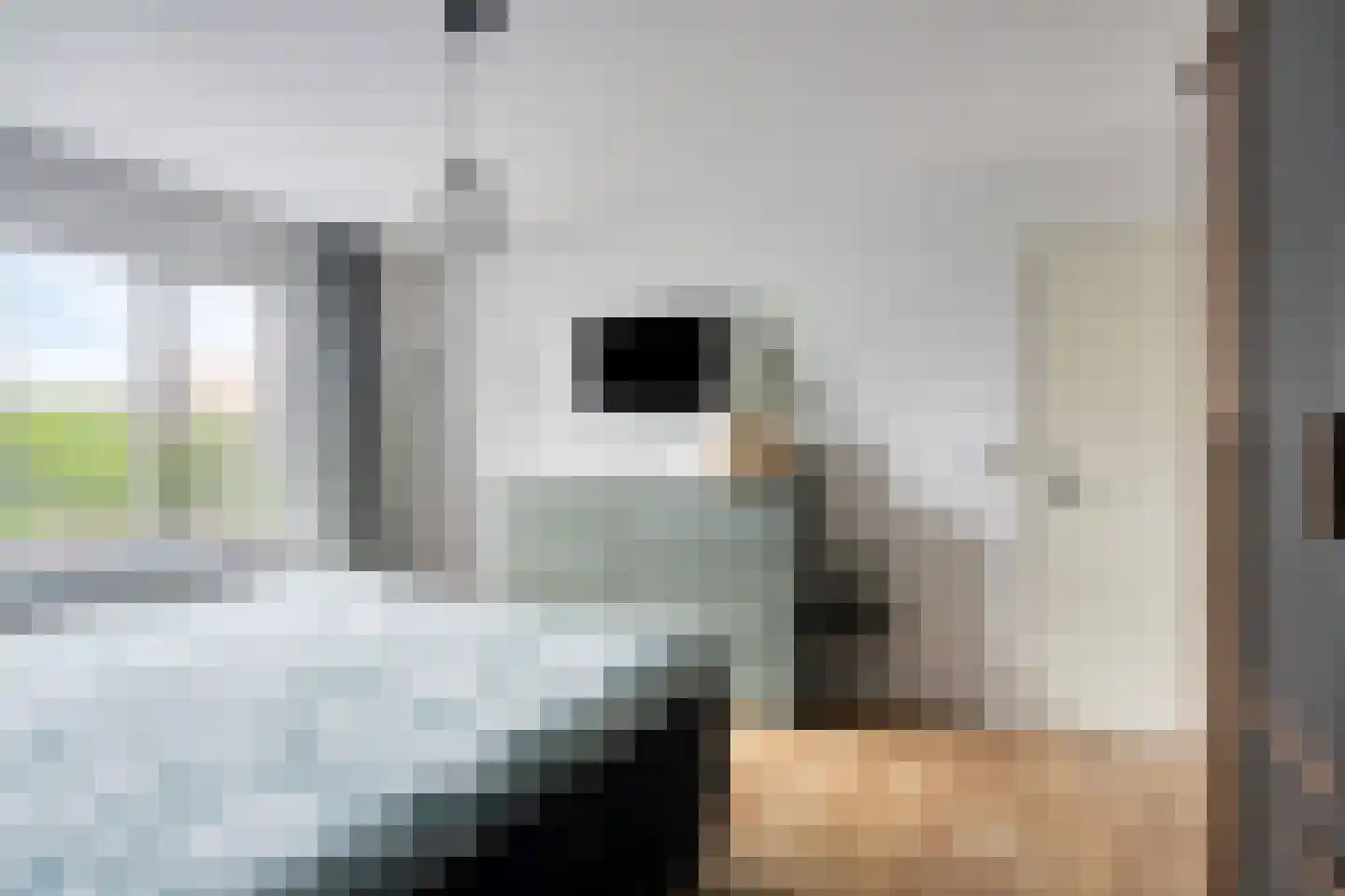 Klompenstraat 10 A Eckelrade thumbnail 21