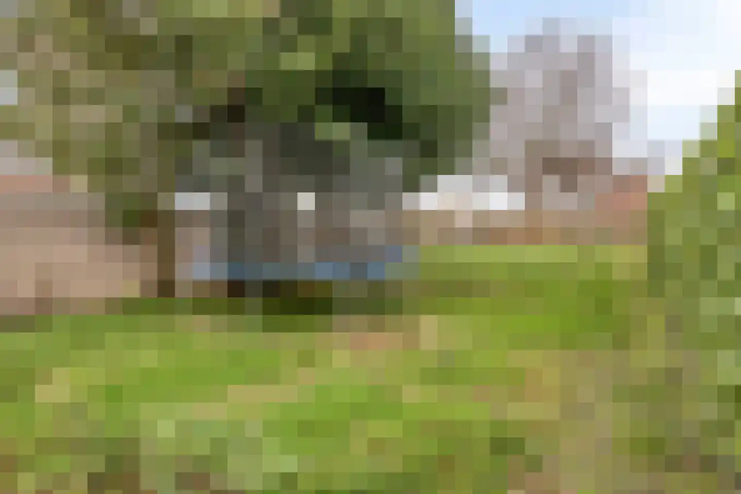 Klompenstraat 10 A Eckelrade thumbnail 31