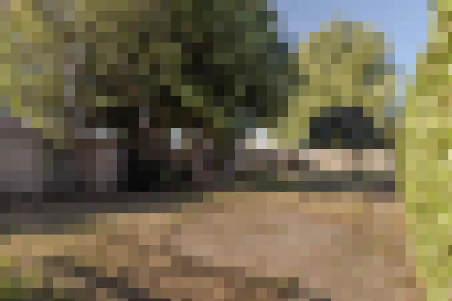Klompenstraat 10 A Eckelrade thumbnail 38