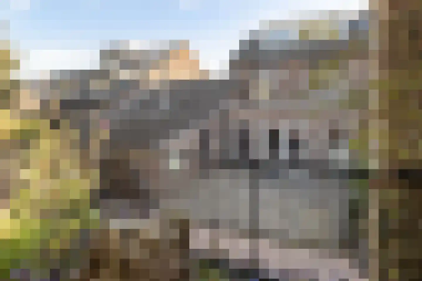 Klompenstraat 10 A Eckelrade thumbnail 39