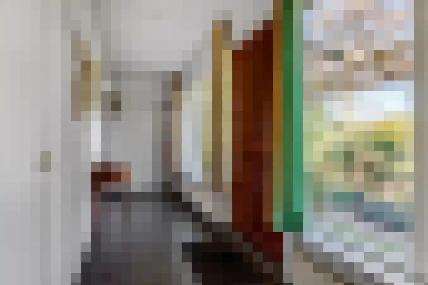 Klompersteeg 10 De Klomp thumbnail 10