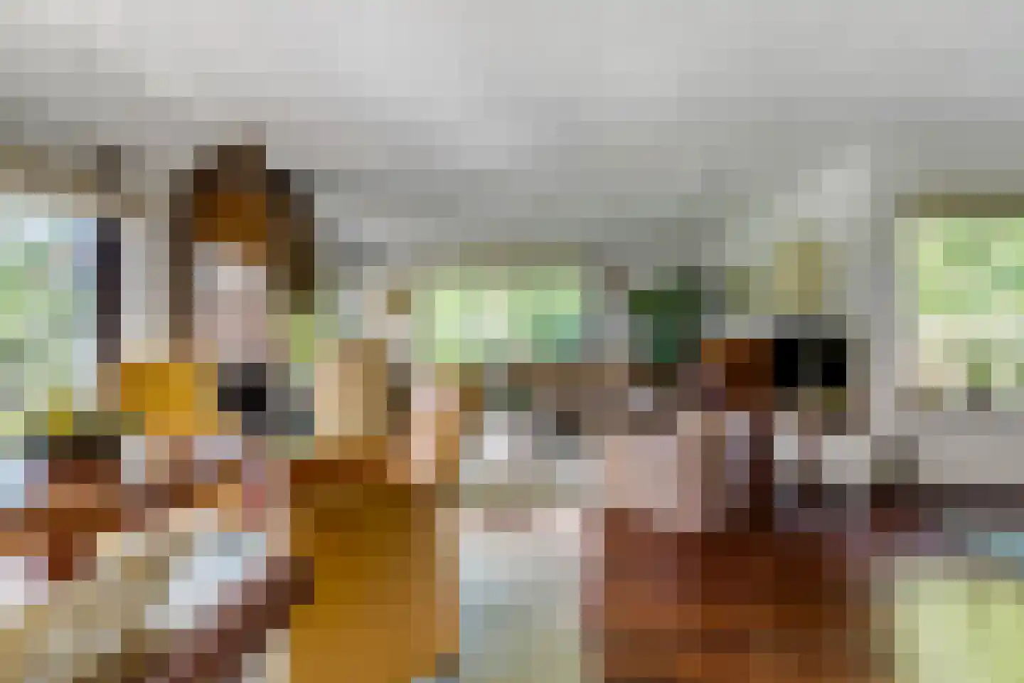Klompersteeg 10 De Klomp thumbnail 17