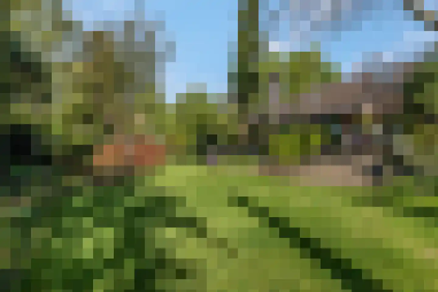 Klompersteeg 10 De Klomp thumbnail 38