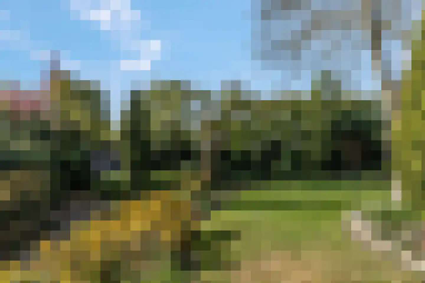 Klompersteeg 10 De Klomp thumbnail 40