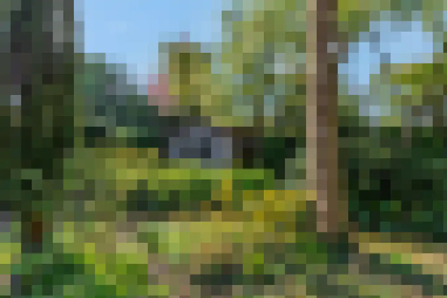 Klompersteeg 10 De Klomp thumbnail 41