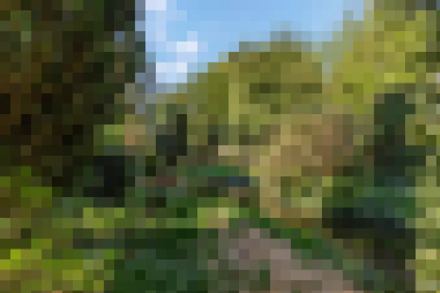 Klompersteeg 10 De Klomp thumbnail 46