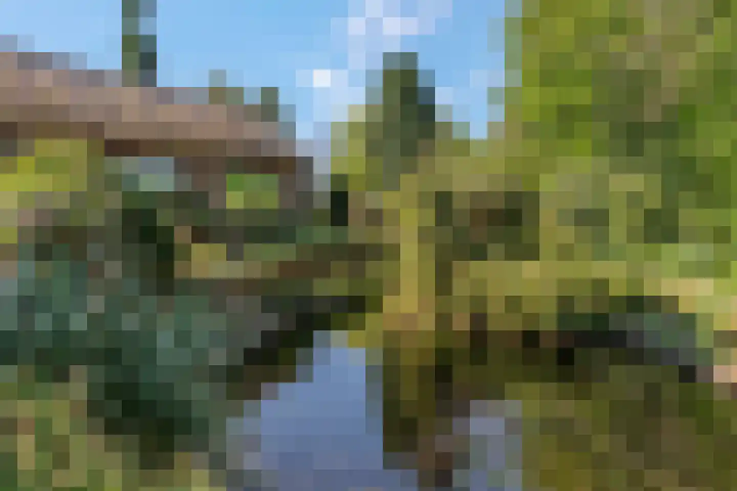 Klompersteeg 10 De Klomp thumbnail 47