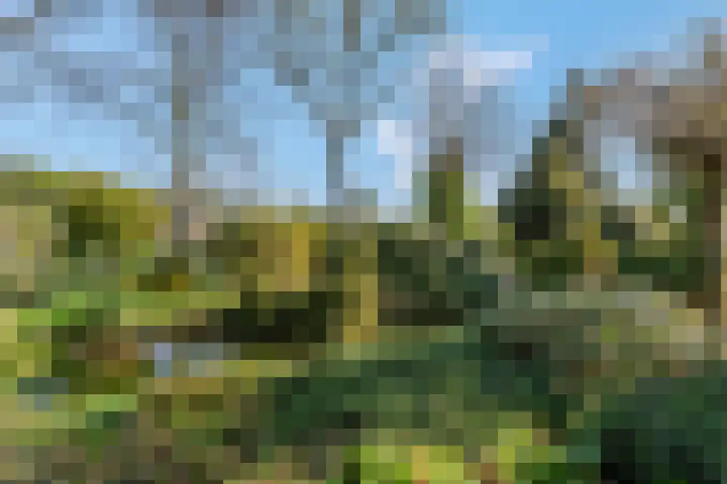Klompersteeg 10 De Klomp thumbnail 48