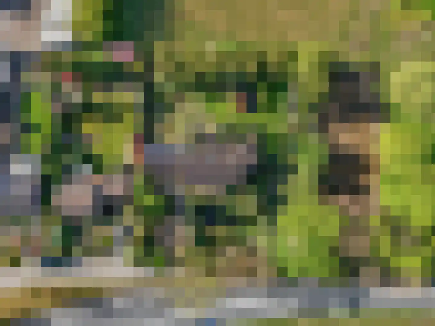 Klompersteeg 10 De Klomp thumbnail 56