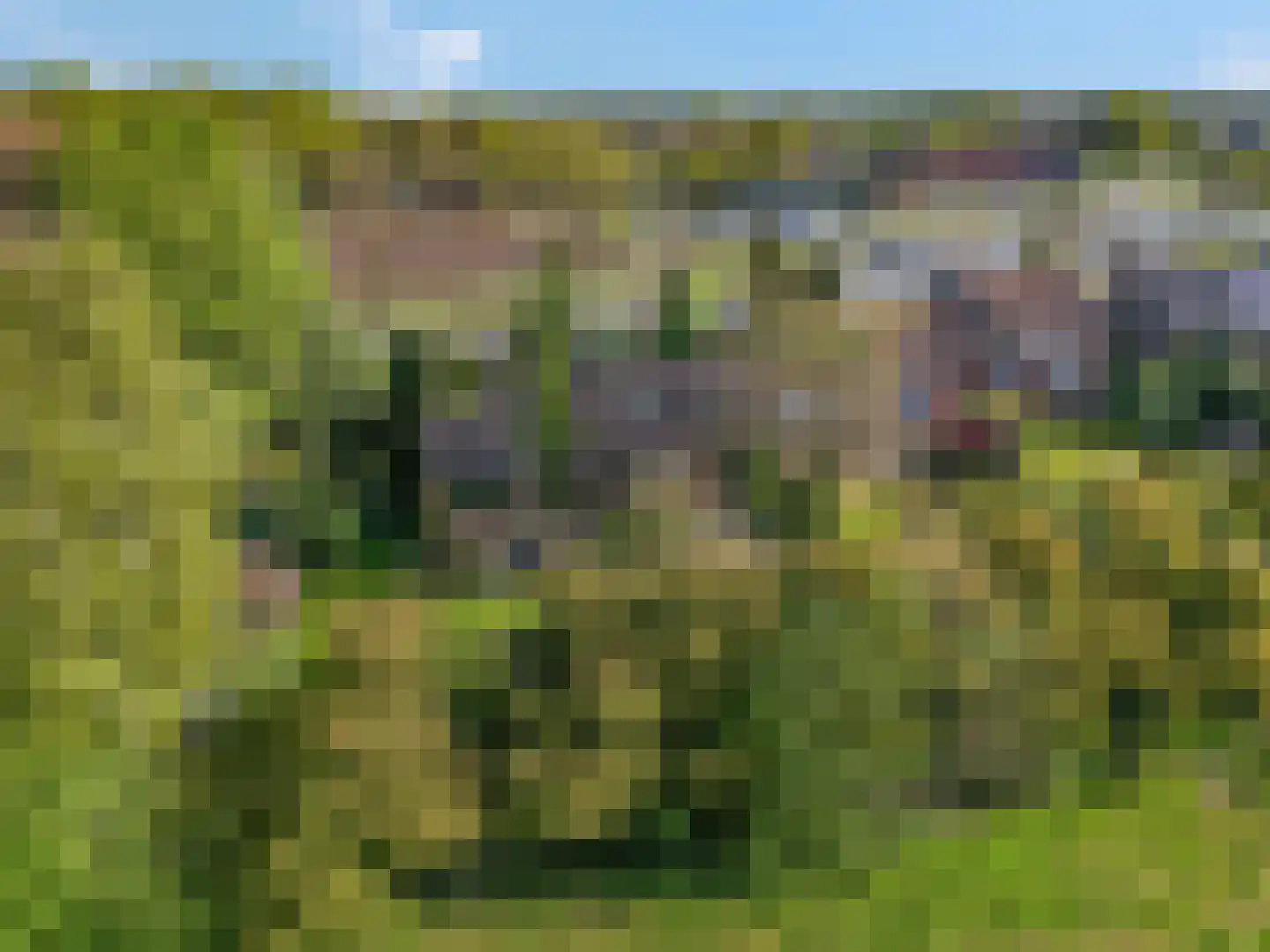 Klompersteeg 10 De Klomp thumbnail 57