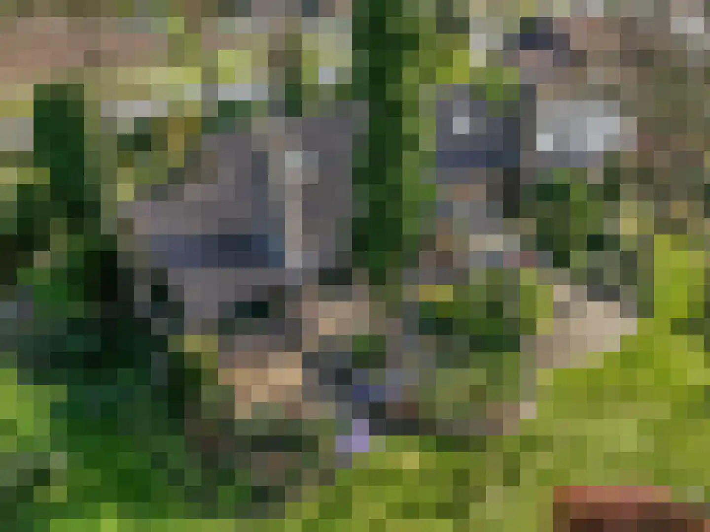 Klompersteeg 10 De Klomp thumbnail 6