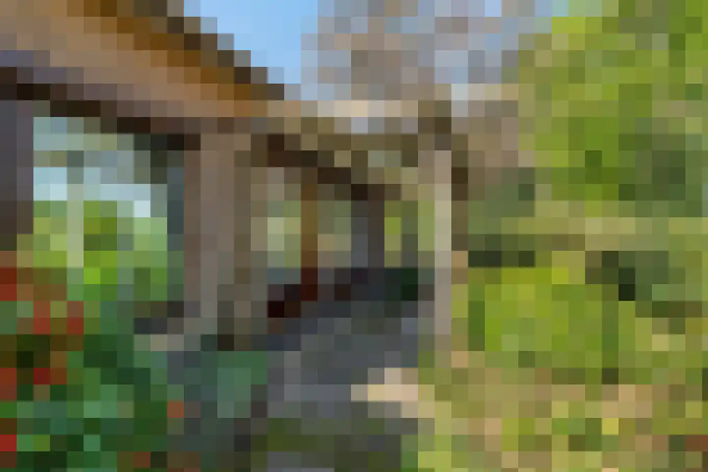 Klompersteeg 10 De Klomp thumbnail 8