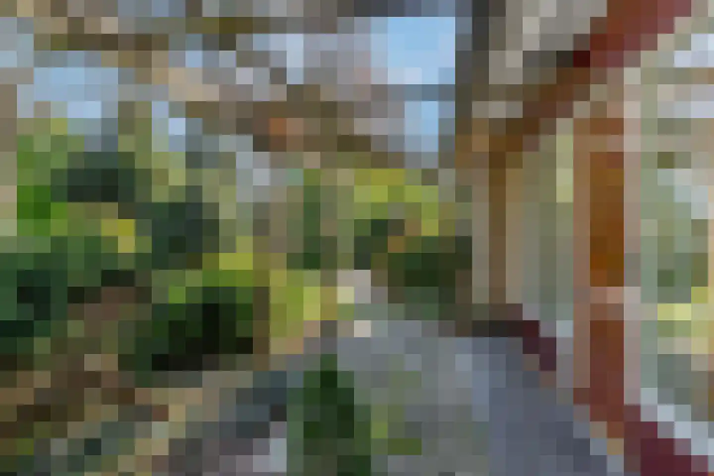 Klompersteeg 10 De Klomp thumbnail 9